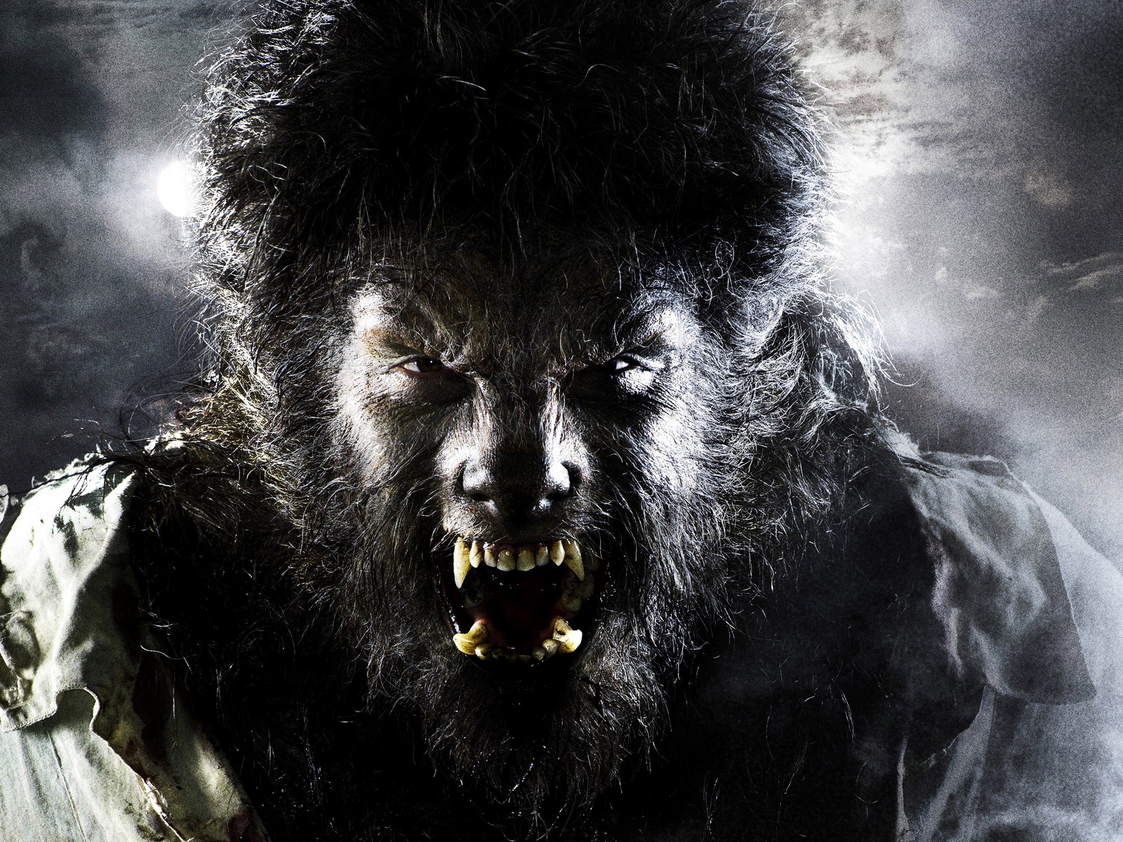 Download High quality The Wolf Man wallpaper / Movies / 1600x1200