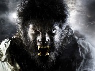 The Wolf Man / Movies