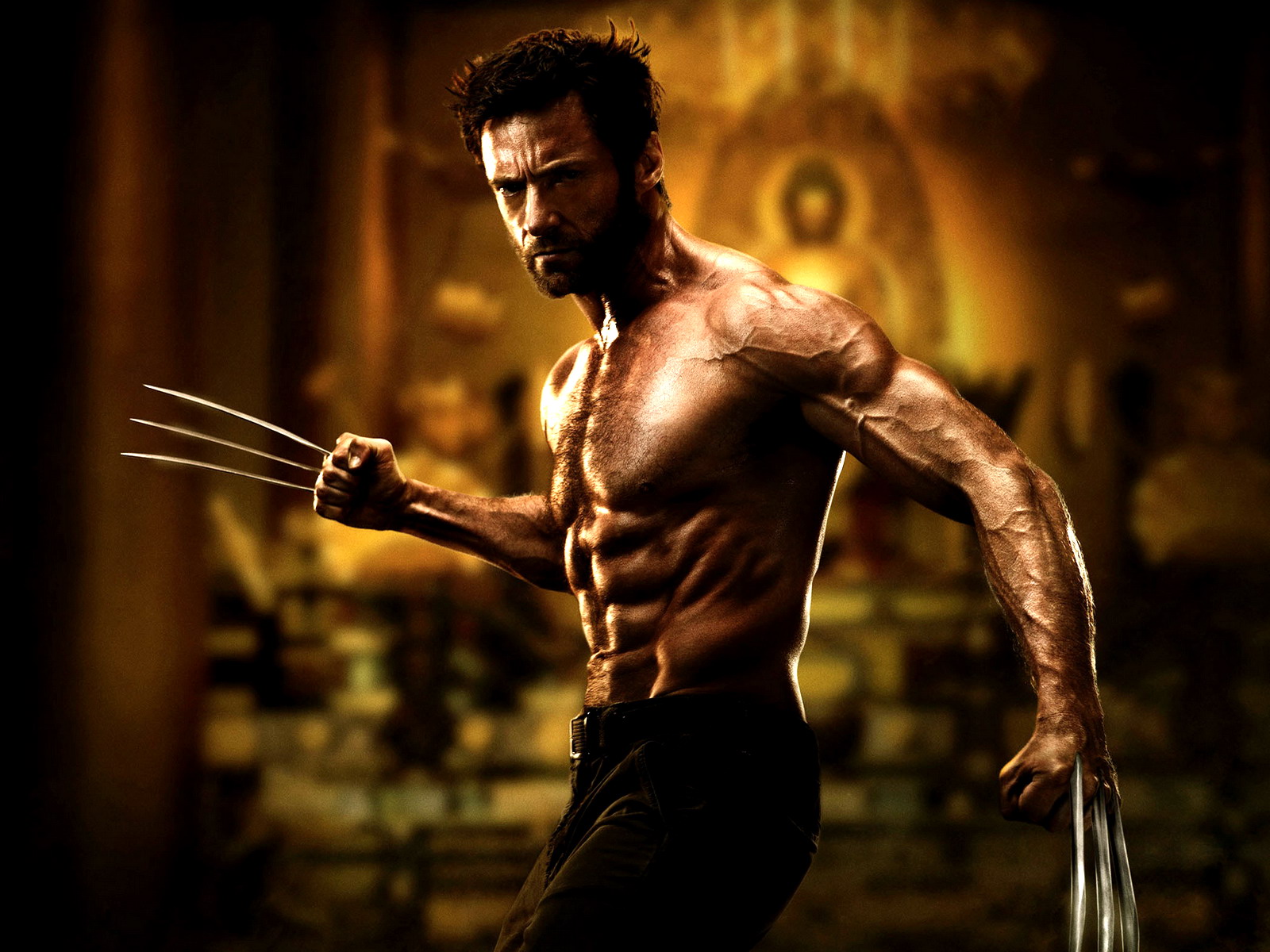 Download full size The Wolverine wallpaper / Movies / 1600x1200