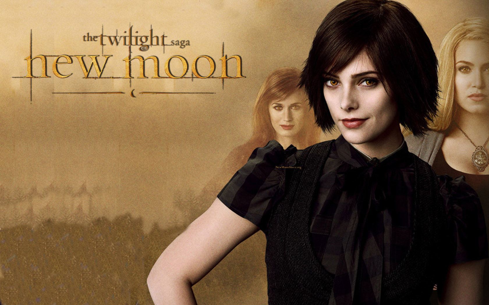 Download HQ Sister of Edward New moon Twilight wallpaper / 1680x1050