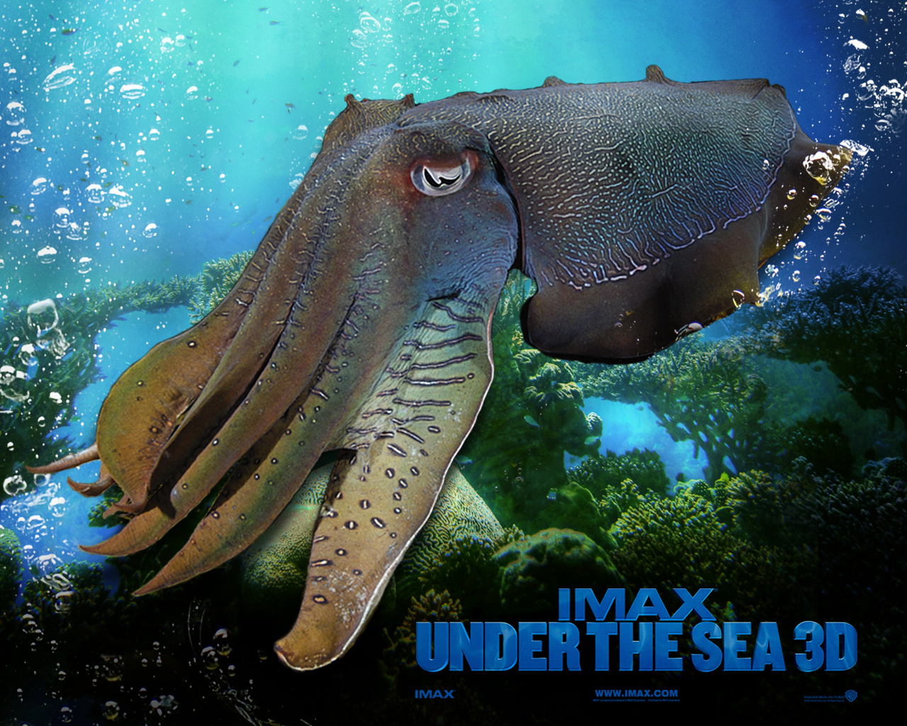 Download HQ Under The Sea 3D wallpaper / Movies / 1280x1024
