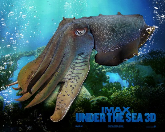 Free Send to Mobile Phone Under The Sea 3D Movies wallpaper num.4