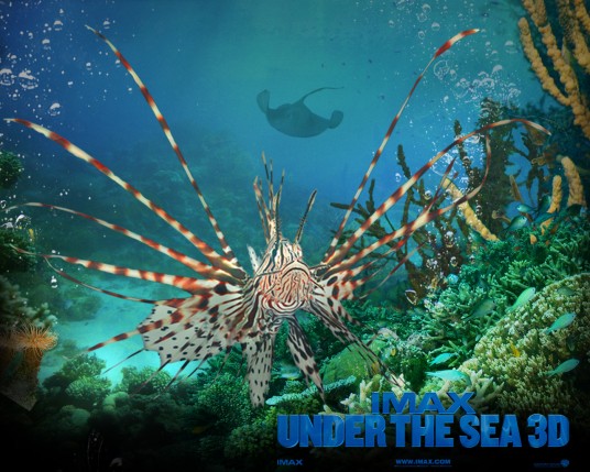 Free Send to Mobile Phone Under The Sea 3D Movies wallpaper num.6