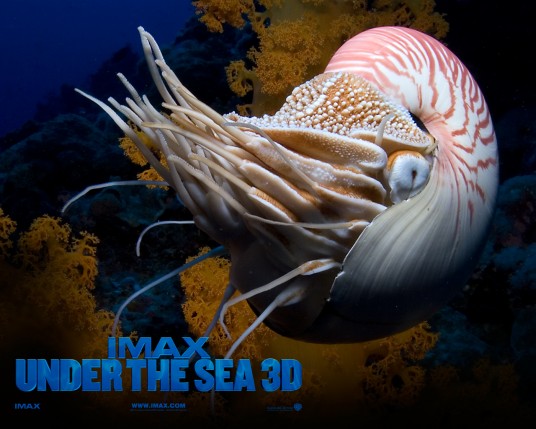 Free Send to Mobile Phone Under The Sea 3D Movies wallpaper num.1