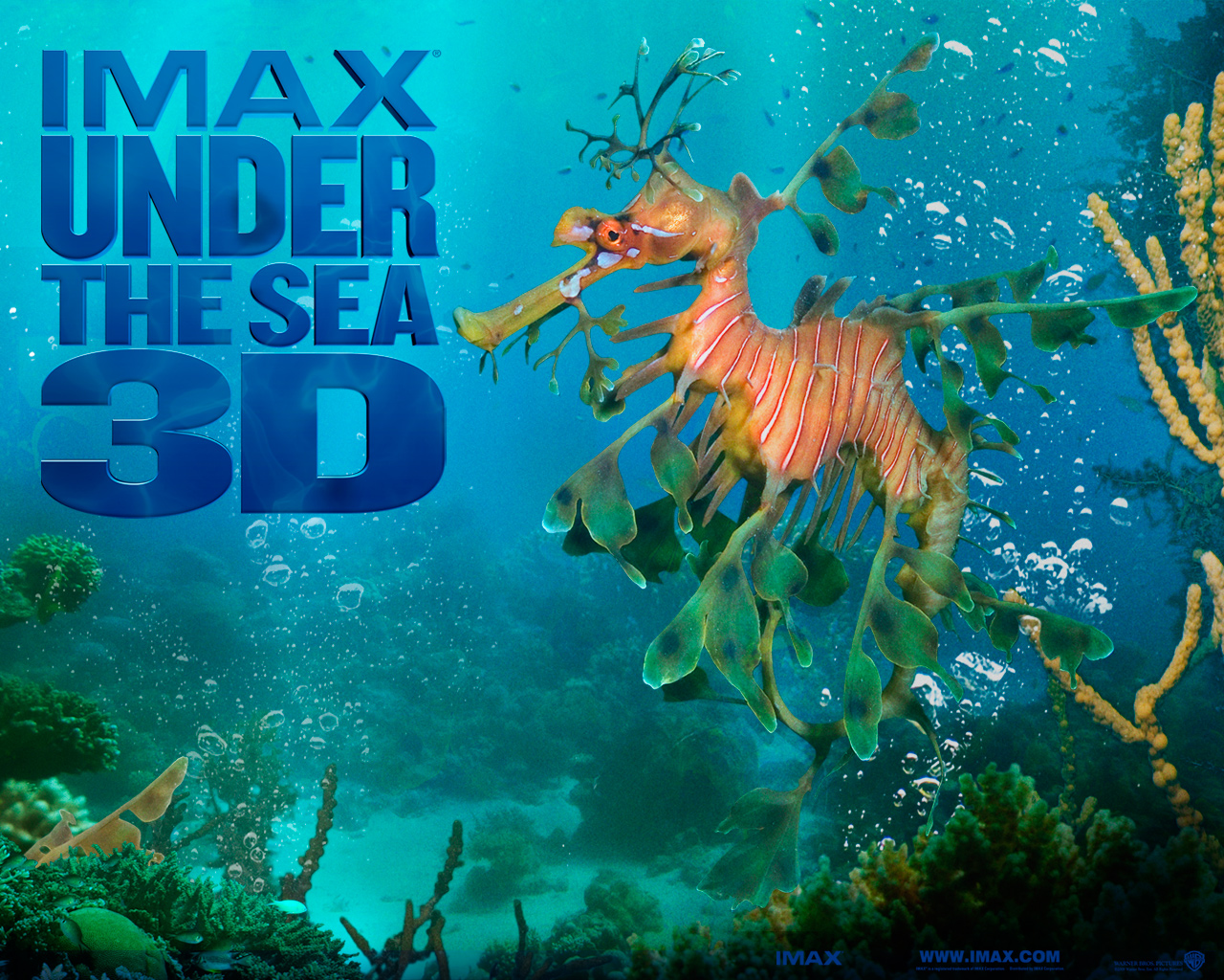 Download High quality Under The Sea 3D wallpaper / Movies / 1280x1024