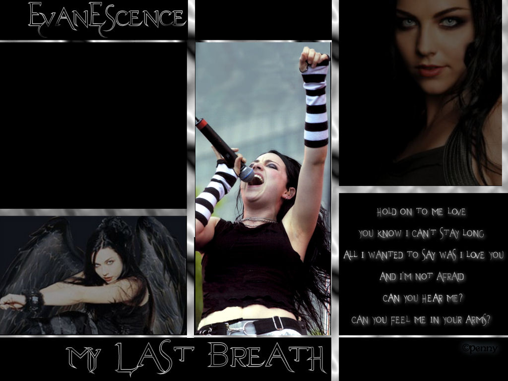 Download Evanescence / Music wallpaper / 1024x768