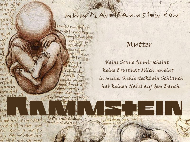 Download Rammstein / Music wallpaper / 800x600