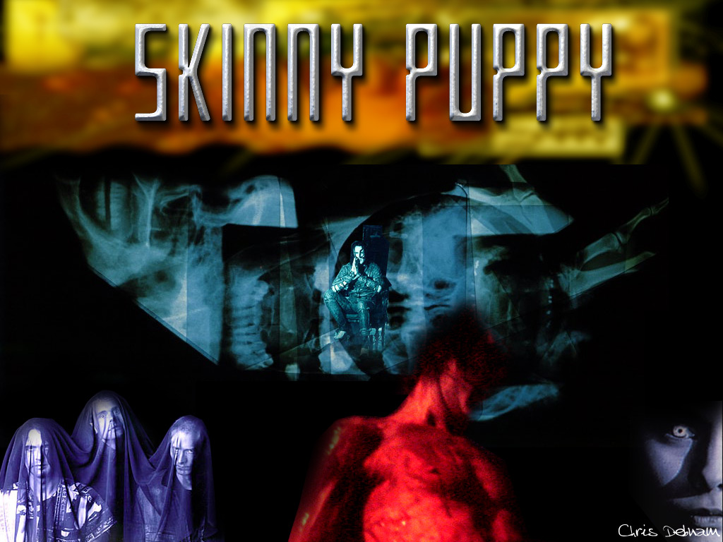 Download Skinny Puppy / Music wallpaper / 1024x768