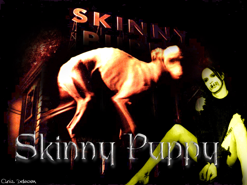 Full size Skinny Puppy wallpaper / Music / 1024x768