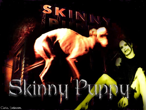 Free Send to Mobile Phone Skinny Puppy Music wallpaper num.3