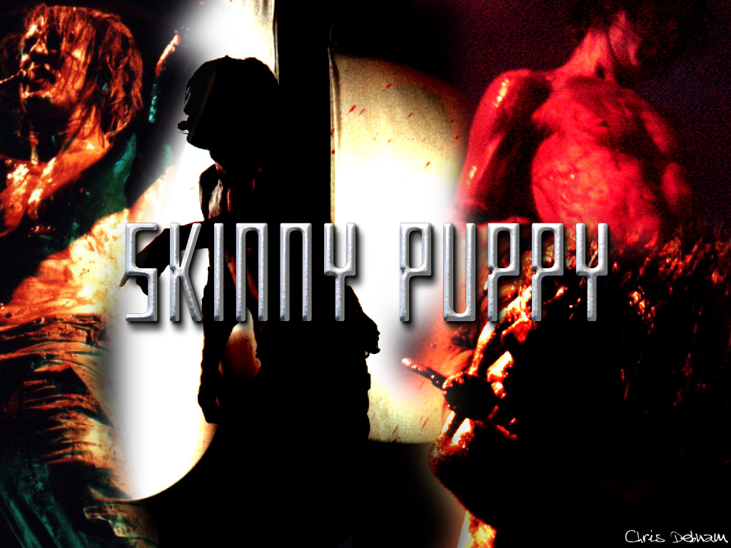 Full size Skinny Puppy wallpaper / Music / 1024x768