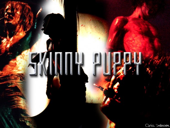 Free Send to Mobile Phone Skinny Puppy Music wallpaper num.1