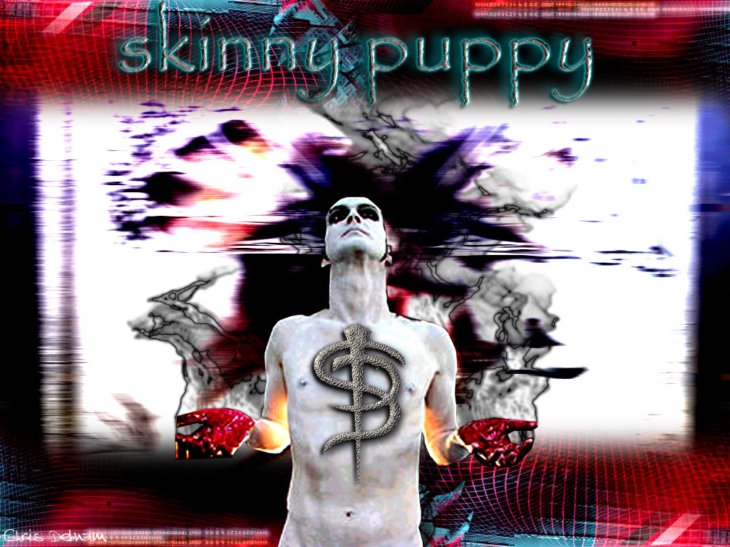 Download Skinny Puppy / Music wallpaper / 1024x768