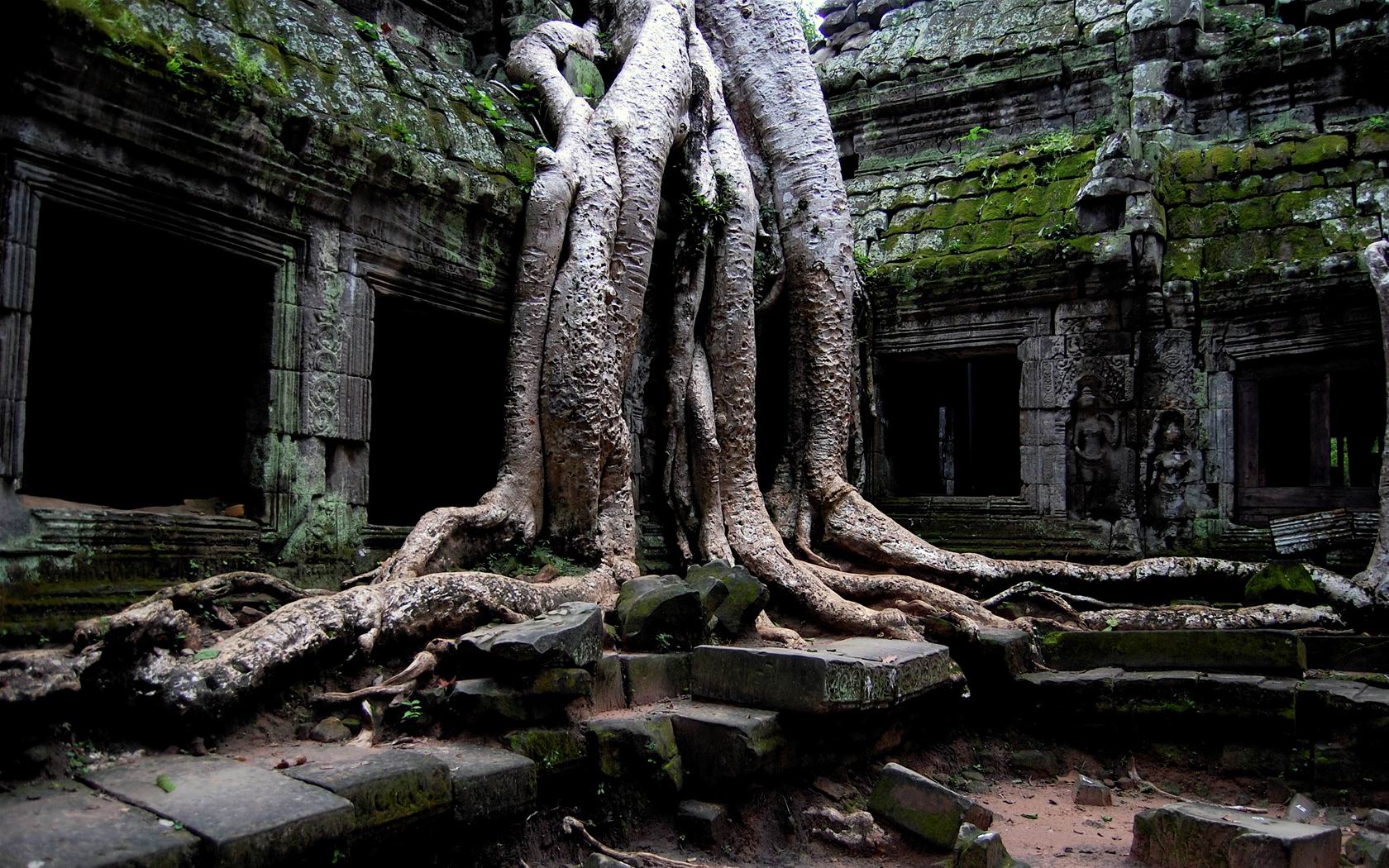 Download HQ Amazing Ta Prohm Tomb Raider Temple, Cambodia Architecture wallpaper / 1680x1050