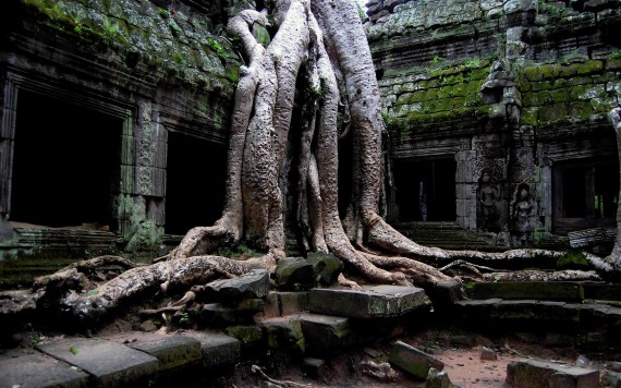 Free Send to Mobile Phone Amazing Ta Prohm Tomb Raider Temple, Cambodia Architecture wallpaper num.39
