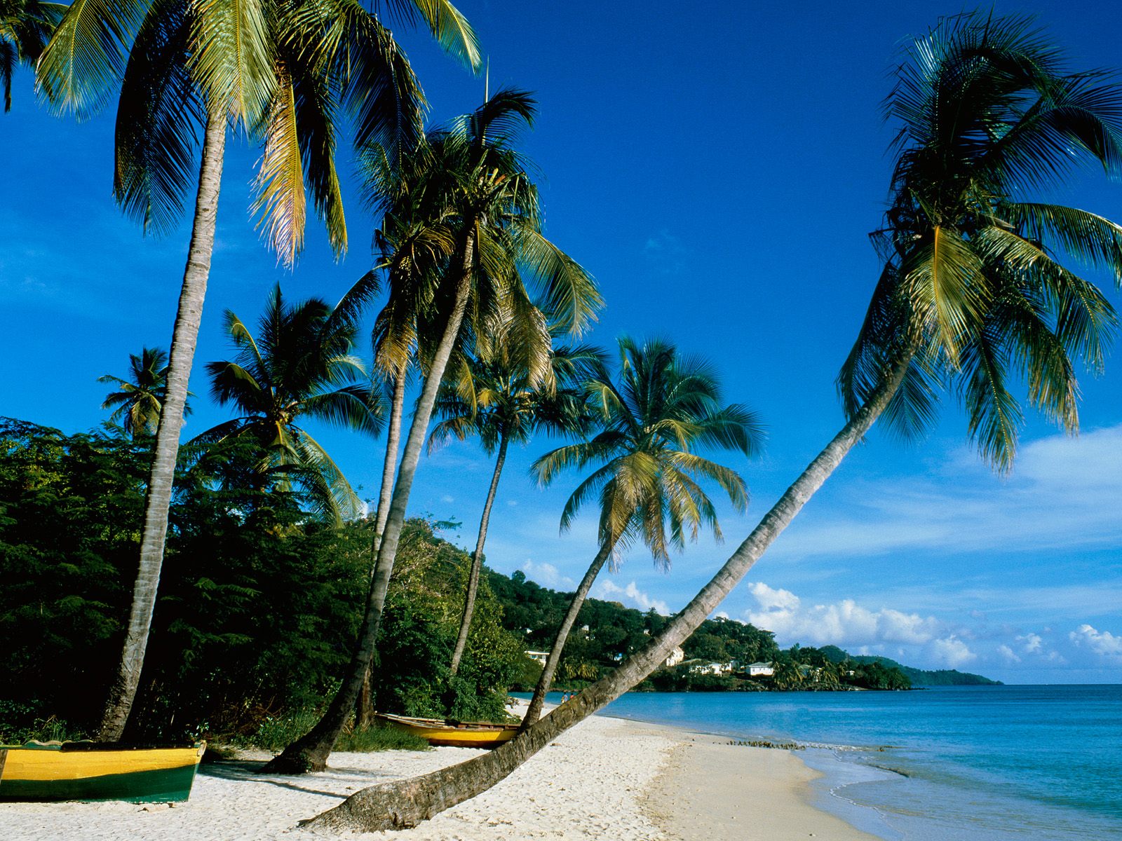 Download full size Grand Anse Beach, Grenada Beaches wallpaper / 1600x1200