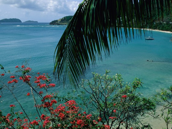 Free Send to Mobile Phone Friendship Bay, Bequia Island, St. Vincent Beaches wallpaper num.55