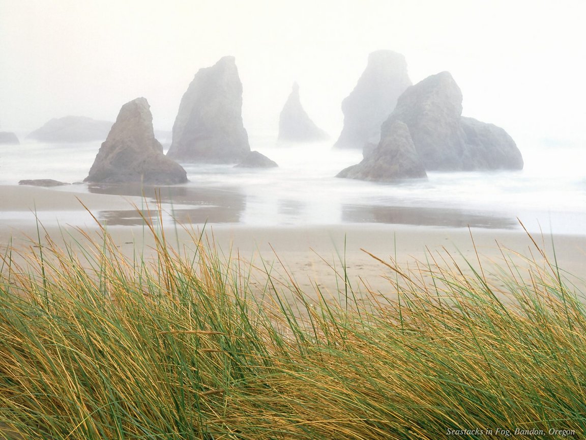 Download Beaches / Nature wallpaper / 1152x864
