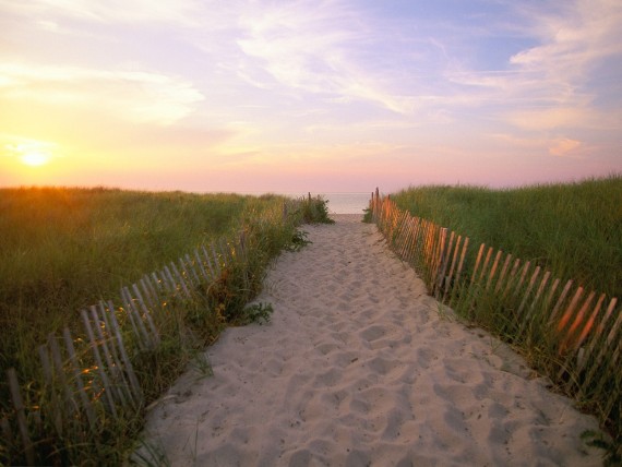 Free Send to Mobile Phone Crosby Landing, Nickerson State Park, Cape Cod, Massachusetts Beaches wallpaper num.64