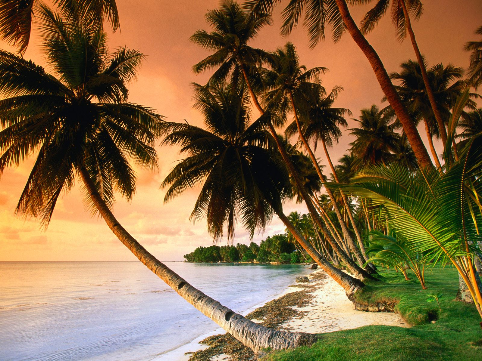 Download full size Blue Lagoon Resort Beach, Micronesia Beaches wallpaper / 1600x1200