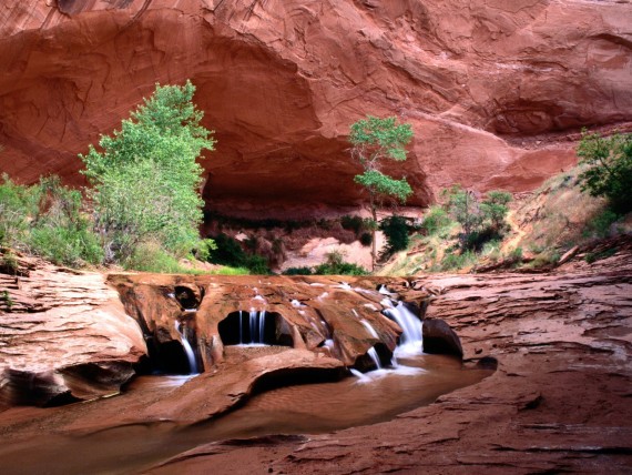 Free Send to Mobile Phone Coyote Gulch, Escalante River Canyons, Utah Canyons wallpaper num.24