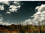 Clouds / Nature