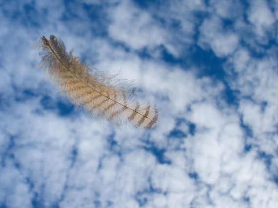 Free Send to Mobile Phone Floating Feather Clouds wallpaper num.75