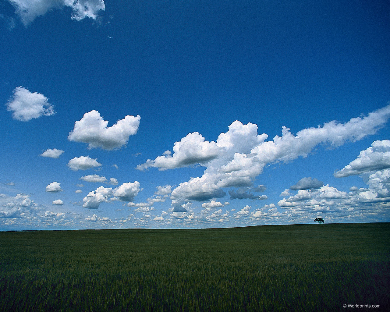 Download full size Clouds wallpaper / Nature / 1280x1024