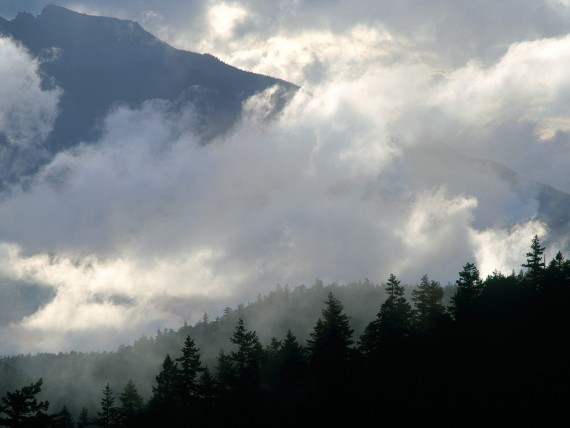 Free Send to Mobile Phone Olympic Mountains and Clouds, Washington Clouds wallpaper num.79