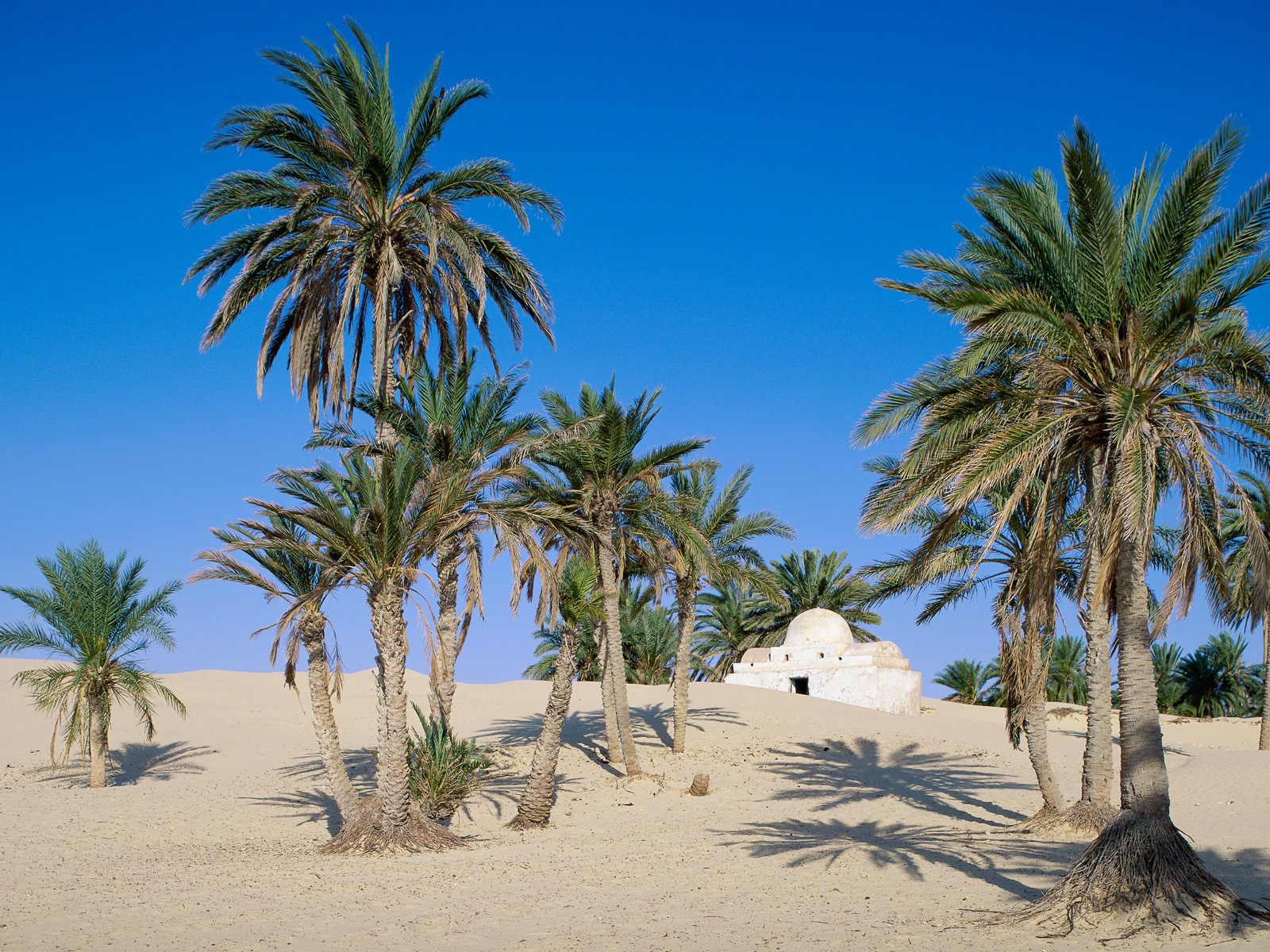 Download High quality Near Douz, Sahara Desert, Tunisia Deserts wallpaper / 1600x1200