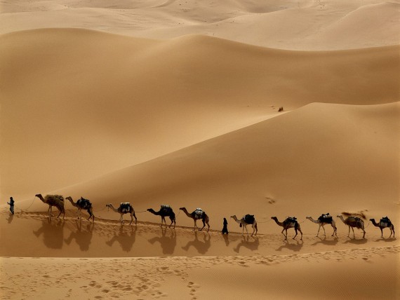 Free Send to Mobile Phone Camel Caravan, Libya Deserts wallpaper num.5