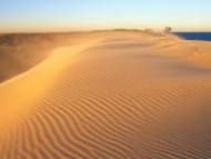 Indiana Dunes National Lakeshore, Indiana / Deserts