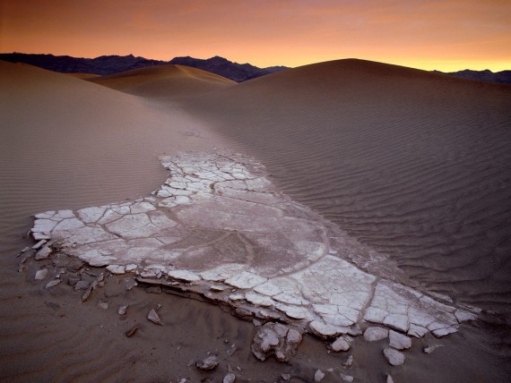 Free Send to Mobile Phone Mesquite Sand Dunes at Dawn, Death Valley National Park, California Deserts wallpaper num.15