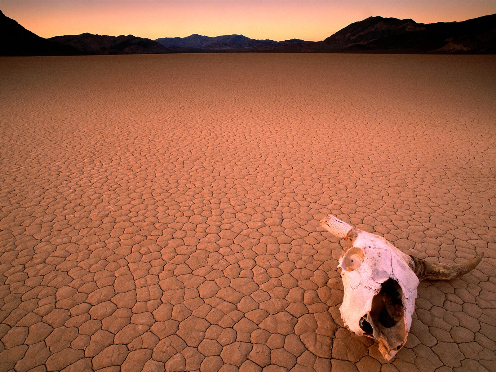 Download HQ Bone Dry, Death Valley, California Deserts wallpaper / 1600x1200