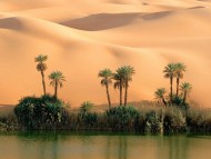 Deserts / Nature