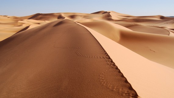 Free Send to Mobile Phone sands hill Deserts wallpaper num.22