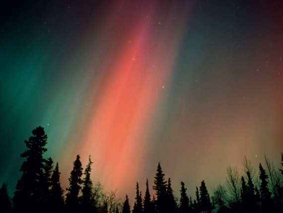 Free Send to Mobile Phone Aurora Borealis, Northern Lights, Alaska Forces of Nature wallpaper num.31