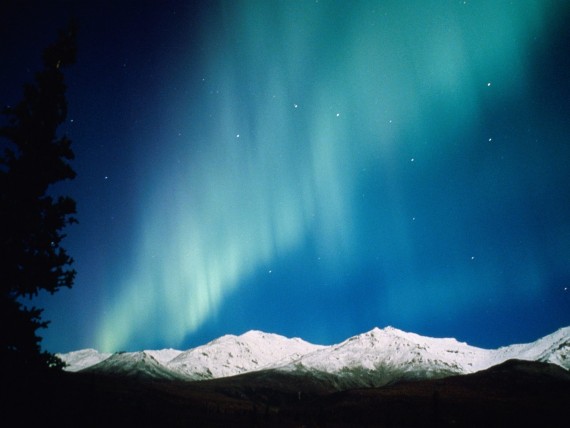 Free Send to Mobile Phone Night Lights, Aurora Borealis, Alaska Forces of Nature wallpaper num.1