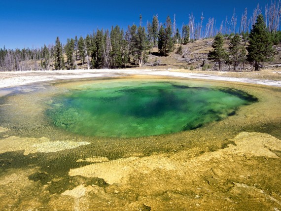 Free Send to Mobile Phone Upper Geyser Basin, Yellowstone National Park, Wyoming Forces of Nature wallpaper num.4