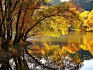 autumn. lake / Lakes