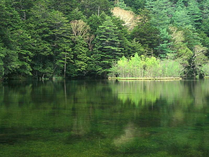 Download Lakes / Nature wallpaper / 800x600