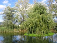 Download Lakes / Nature