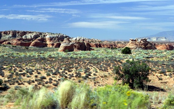 Free Send to Mobile Phone Nevada desert, USA Landscape wallpaper num.77