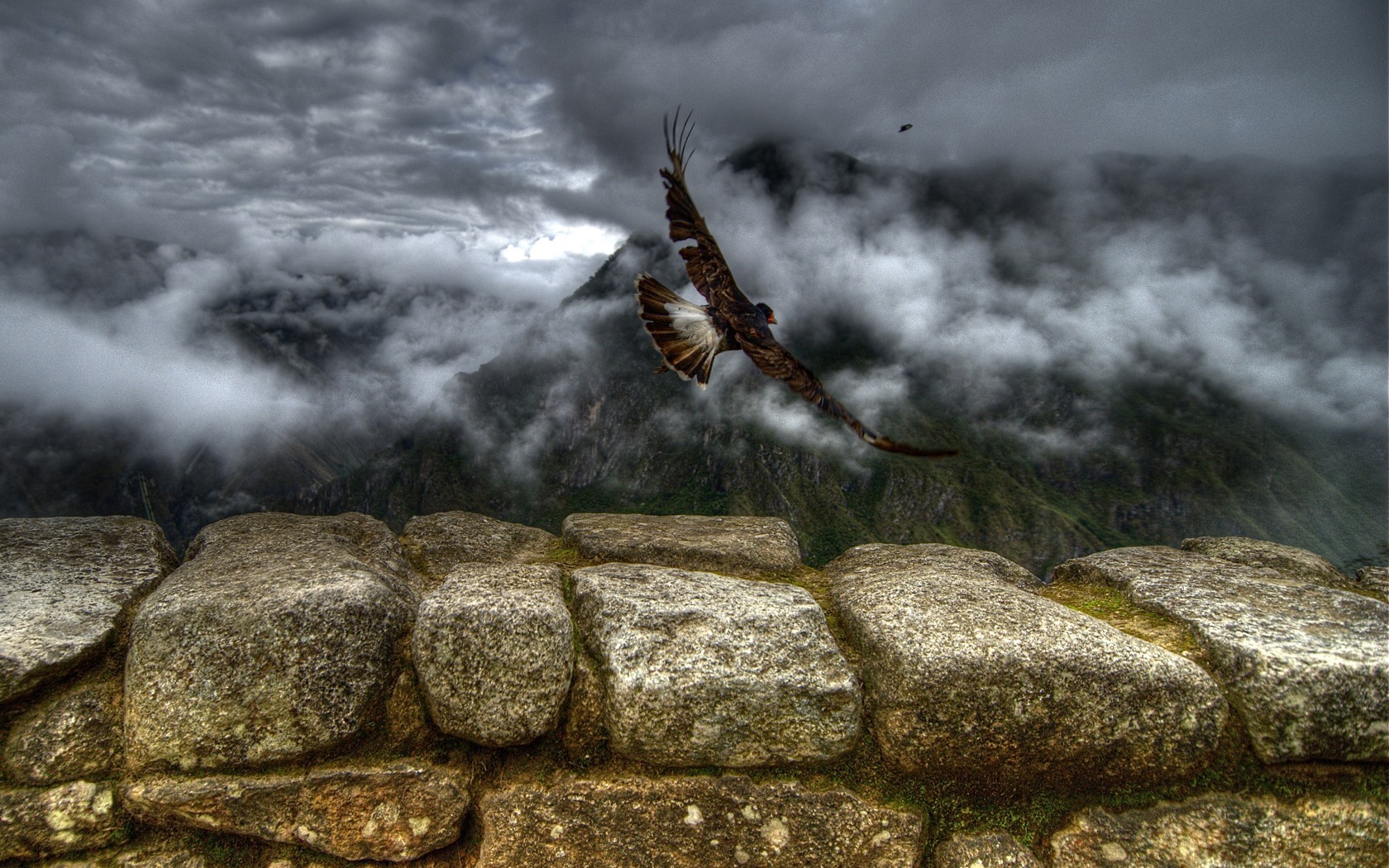 Download HQ Bird Off Mountain Landscape wallpaper / 1680x1050