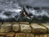 Download Bird Off Mountain / Landscape