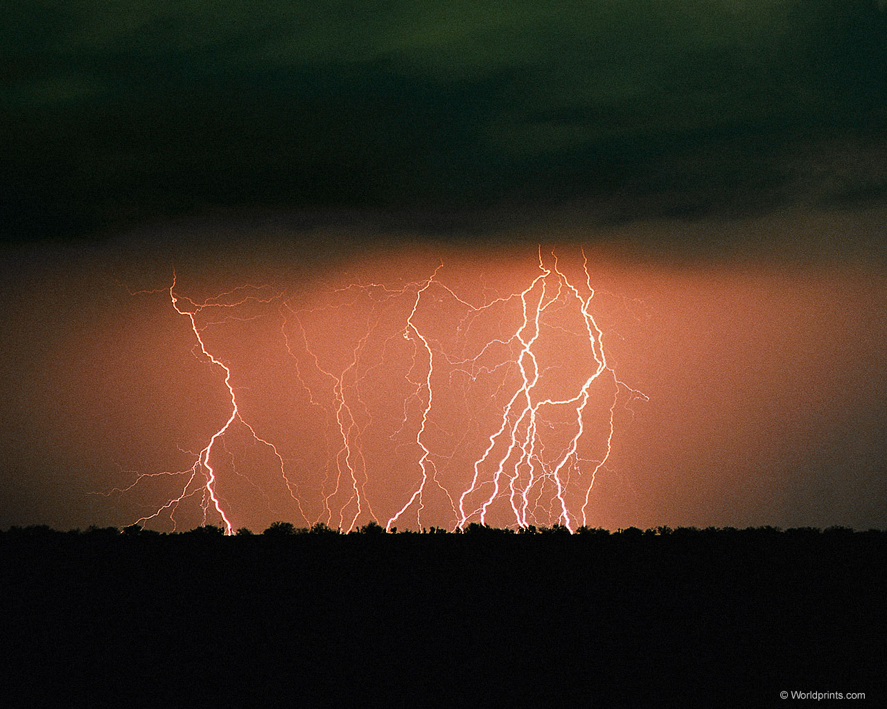 Download High quality Lightnings wallpaper / Nature / 1280x1024