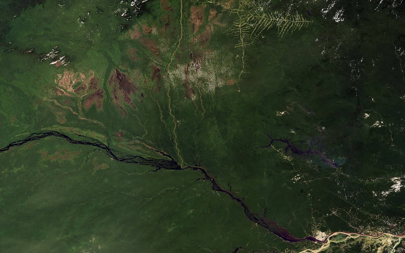 Download High quality Amazon Basin, Brazil, Seen From Space Maps wallpaper / 1680x1050