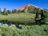 Mount Belleview, Colorado, U.S.A. / Mountains