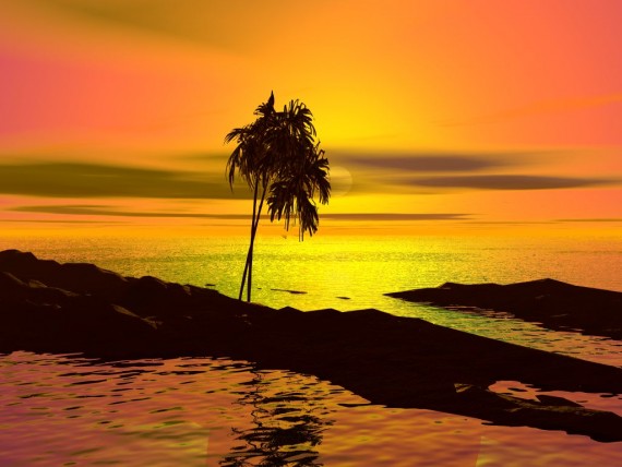 Free Send to Mobile Phone Palms Nature wallpaper num.15