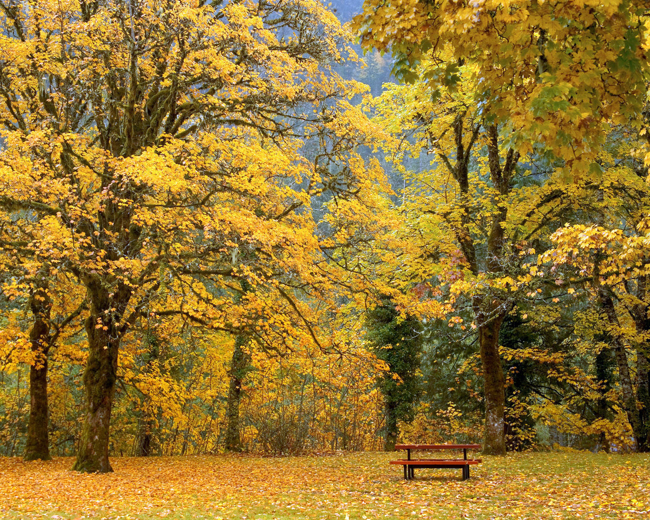 Download High quality Autumn Seasons wallpaper / 1280x1024